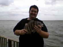 Sheepshead