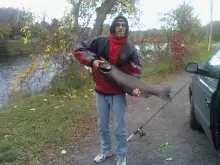 napanee ontario canada