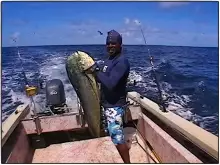 46# Mahimahi