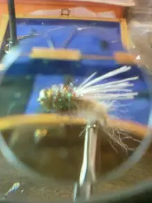 fly3