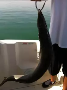 fishing day