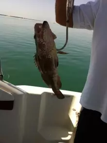 fishing day