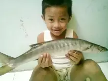 baby barracuda n my baby