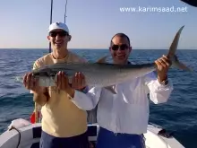 Kingfish