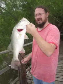 7.5 lbs largemouth