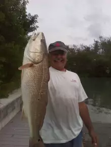 Today's catch . 24" Redfish