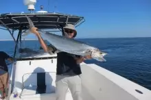 KingFish 18Kgs