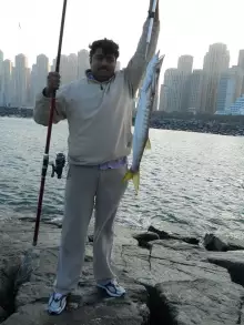 Barrcuda caght from dubai