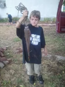 Jessie's Catfish