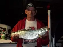 22" sea trout from haulover canal
