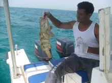 fishing in Abu dhabi