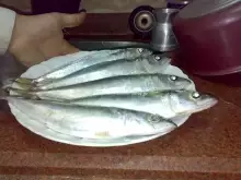 mmmmmmmm