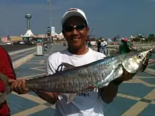 King Fish 3.8 kg, Marina Breakwater
