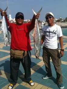 King Fish 1.8 kg & 3.8 kg. Marina Breakwater