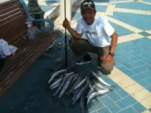 Baracuda, Marina Breakwater