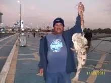 Hamour 4.8 kg, Marina Breakwater