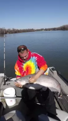 35 lb channel cat-citation