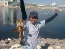 jeddah fishing
