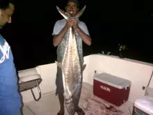 king fish dubai