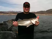 oldest son lk mead striper