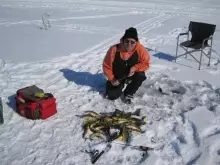 Lake Simcoe Perch