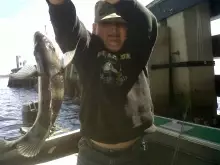 Sheepshead bite getting better every day