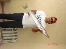 good catch