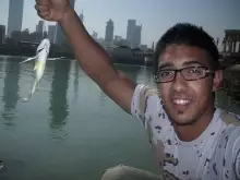 kuwait fishing (Shaoum).