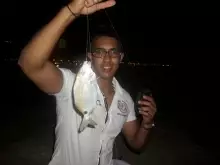 Kuwait fishing