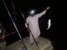 Cat fish caught in meseela (kuwait).