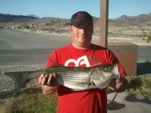 lk mead nv. biggest of the day4.15.12