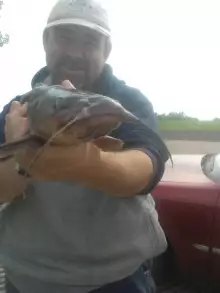 Ohio River Bluecat april 27th 2012