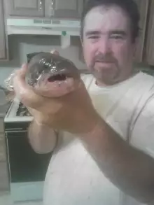 My 17 Inch 1.8 Lb. Saugeye