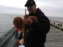 Sea Robin of Cedar Beach