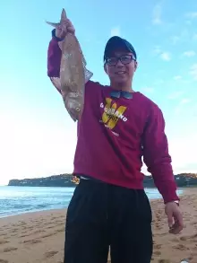 Aussie Salmon ,Palm Beach 26.05.12