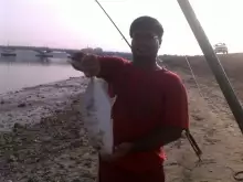 Abu Dhabi Fishing