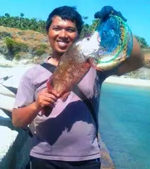 At Kupang