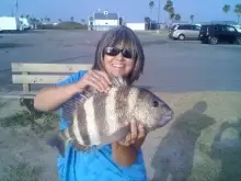 BIG Sheepshead