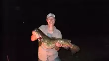 25 pound flathead catfish