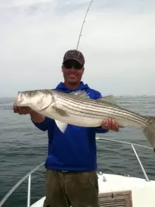 striper