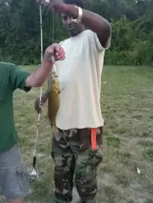 Small Mouth Bass
