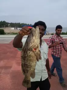 Munambam beach,Ernakulam