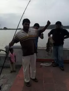 Munambam beach,Ernakulam