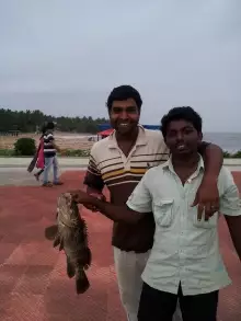 Munambam beach,Ernakulam