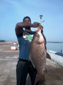 16kg Rohu(munambam beach ,kerala)