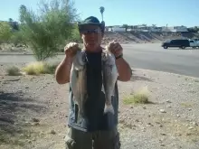 2 nice stripers from lkmead nv.