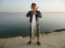 abu dhabi fishing
