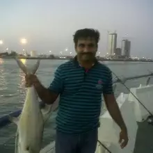 Queen fish at Abu Dhabi Corniche