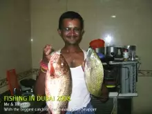 Red Snapper