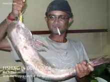 2009 November, Bigger Cat fish